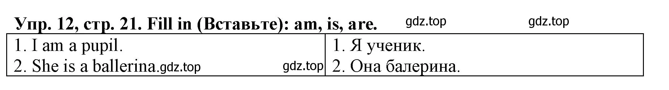 Решение номер 12 (страница 21) гдз по английскому языку 3 класс Юшина, грамматический тренажёр