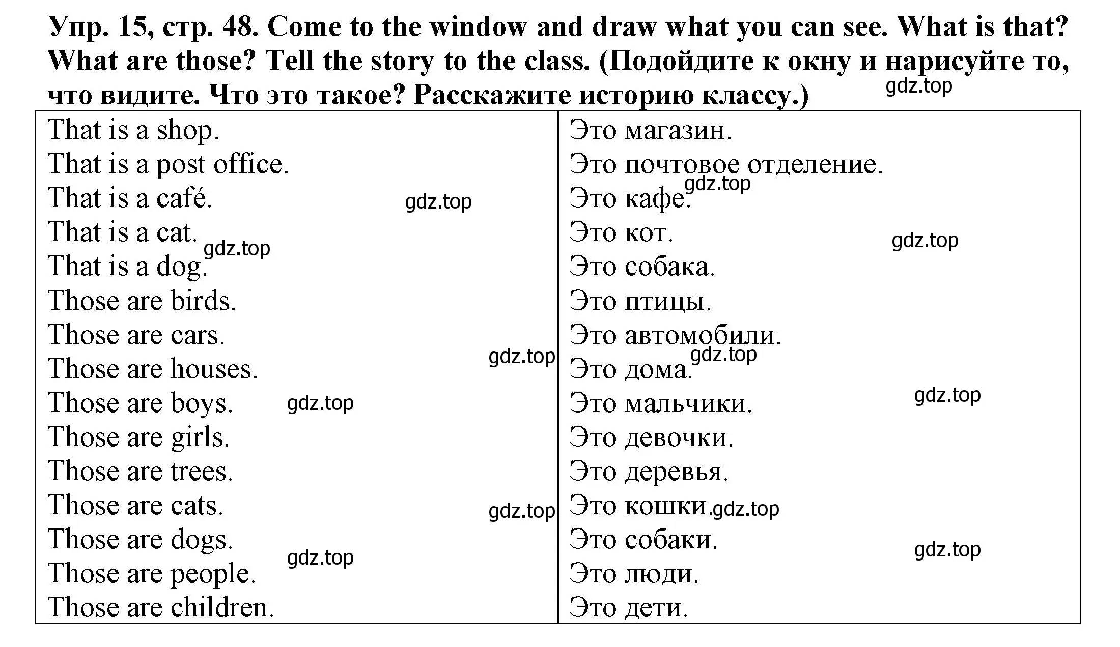 Решение номер 15 (страница 48) гдз по английскому языку 3 класс Юшина, грамматический тренажёр