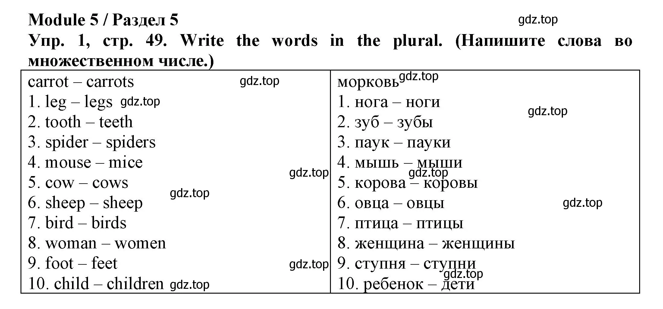 Решение номер 1 (страница 49) гдз по английскому языку 3 класс Юшина, грамматический тренажёр