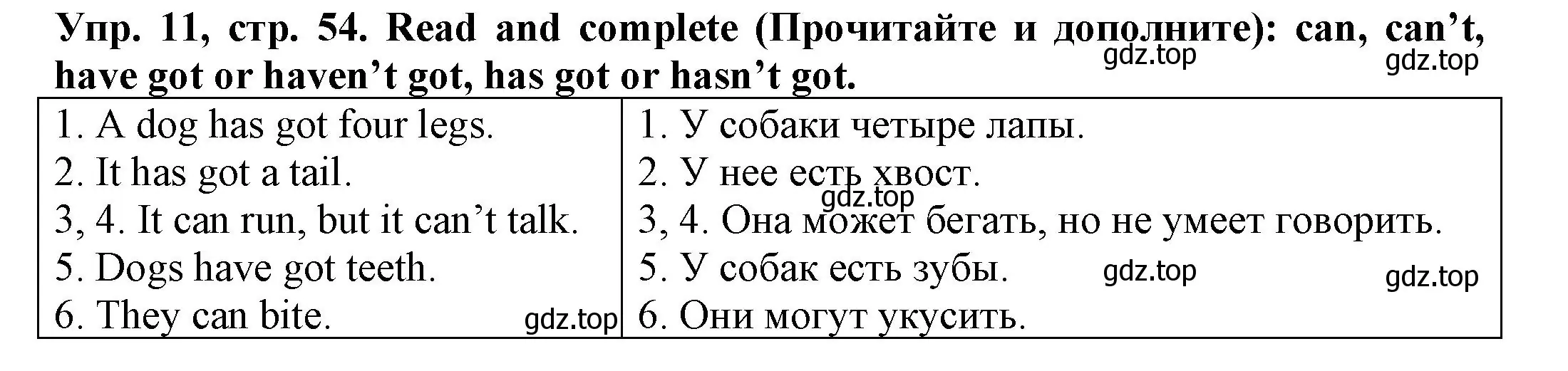 Решение номер 11 (страница 54) гдз по английскому языку 3 класс Юшина, грамматический тренажёр