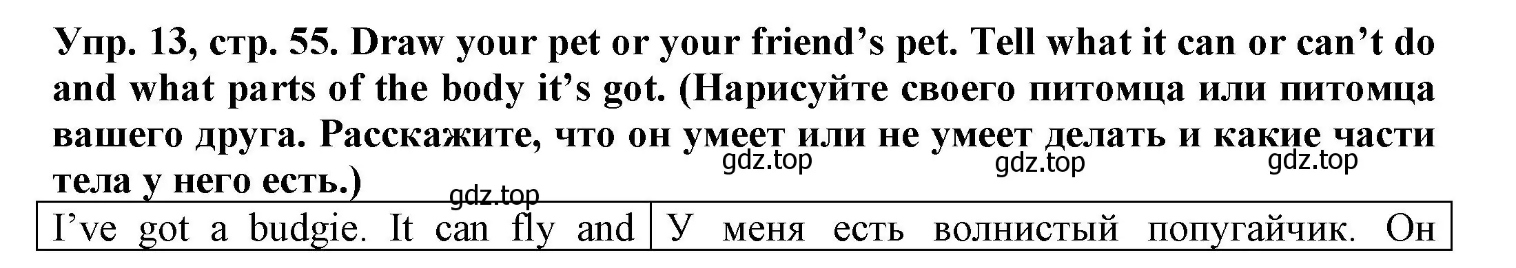 Решение номер 13 (страница 55) гдз по английскому языку 3 класс Юшина, грамматический тренажёр