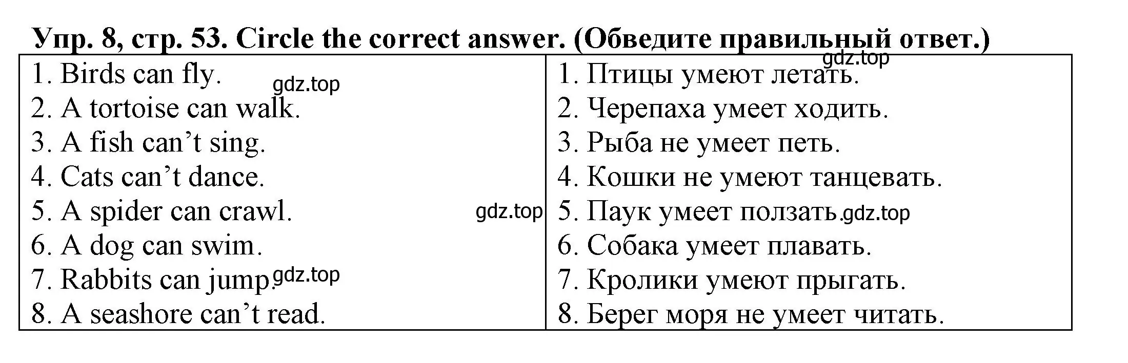 Решение номер 8 (страница 53) гдз по английскому языку 3 класс Юшина, грамматический тренажёр