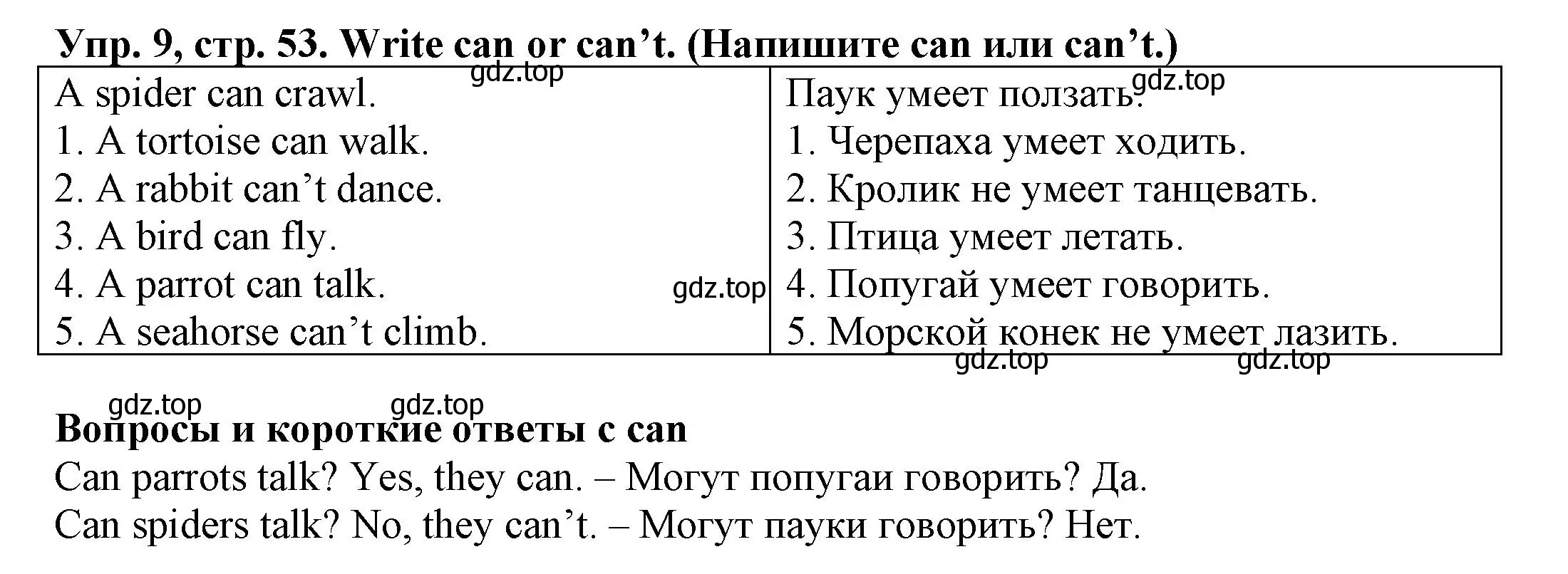 Решение номер 9 (страница 53) гдз по английскому языку 3 класс Юшина, грамматический тренажёр