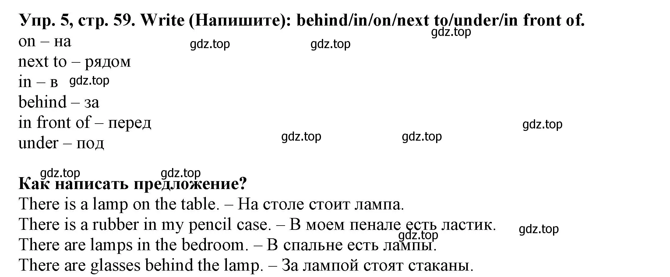 Решение номер 5 (страница 59) гдз по английскому языку 3 класс Юшина, грамматический тренажёр