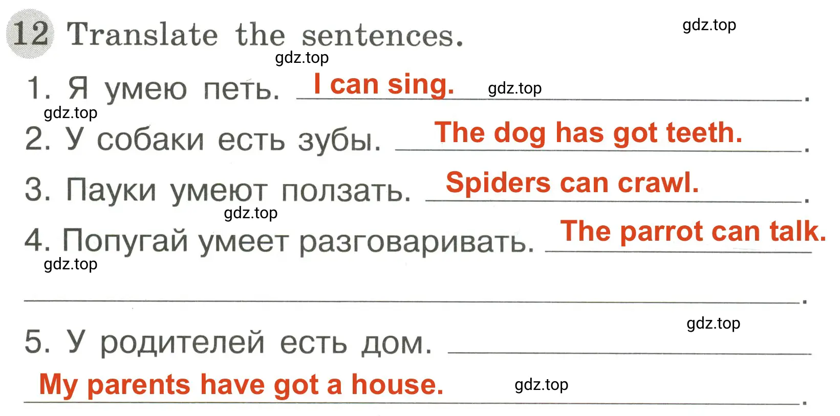 Решение 2. номер 12 (страница 55) гдз по английскому языку 3 класс Юшина, грамматический тренажёр