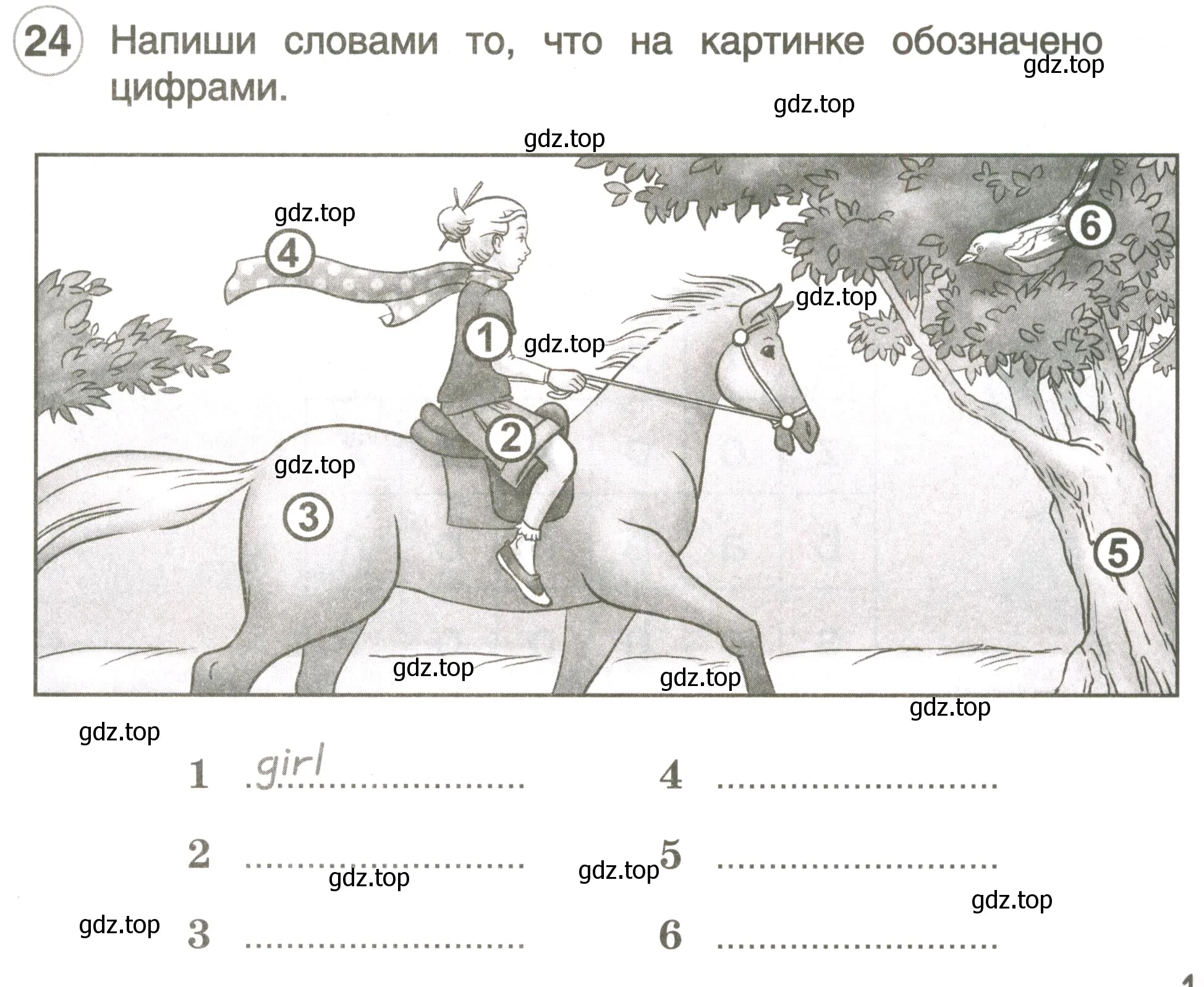 Условие номер 24 (страница 11) гдз по английскому языку 3 класс Комарова, Ларионова, рабочая тетрадь