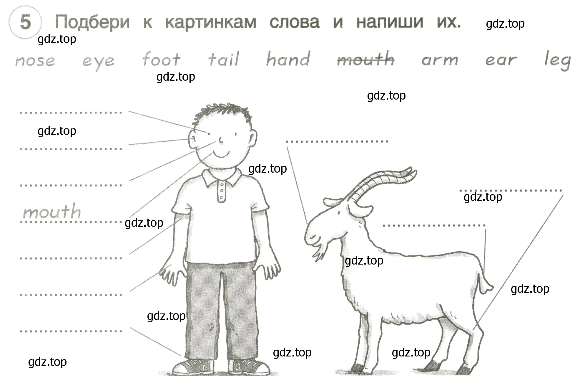 Условие номер 5 (страница 21) гдз по английскому языку 3 класс Комарова, Ларионова, рабочая тетрадь