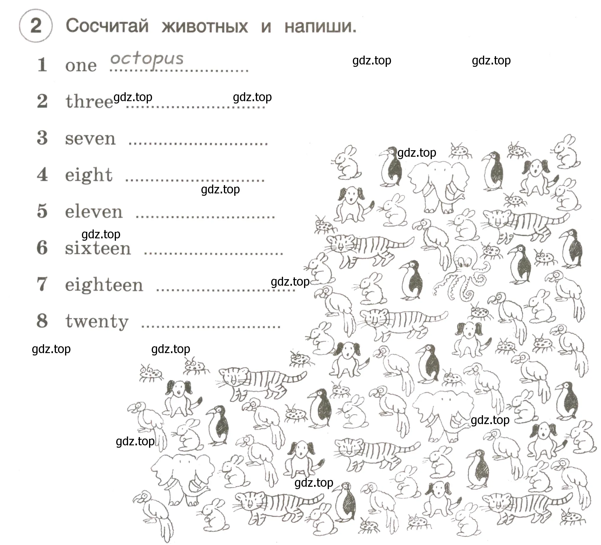 Условие номер 2 (страница 24) гдз по английскому языку 3 класс Комарова, Ларионова, рабочая тетрадь