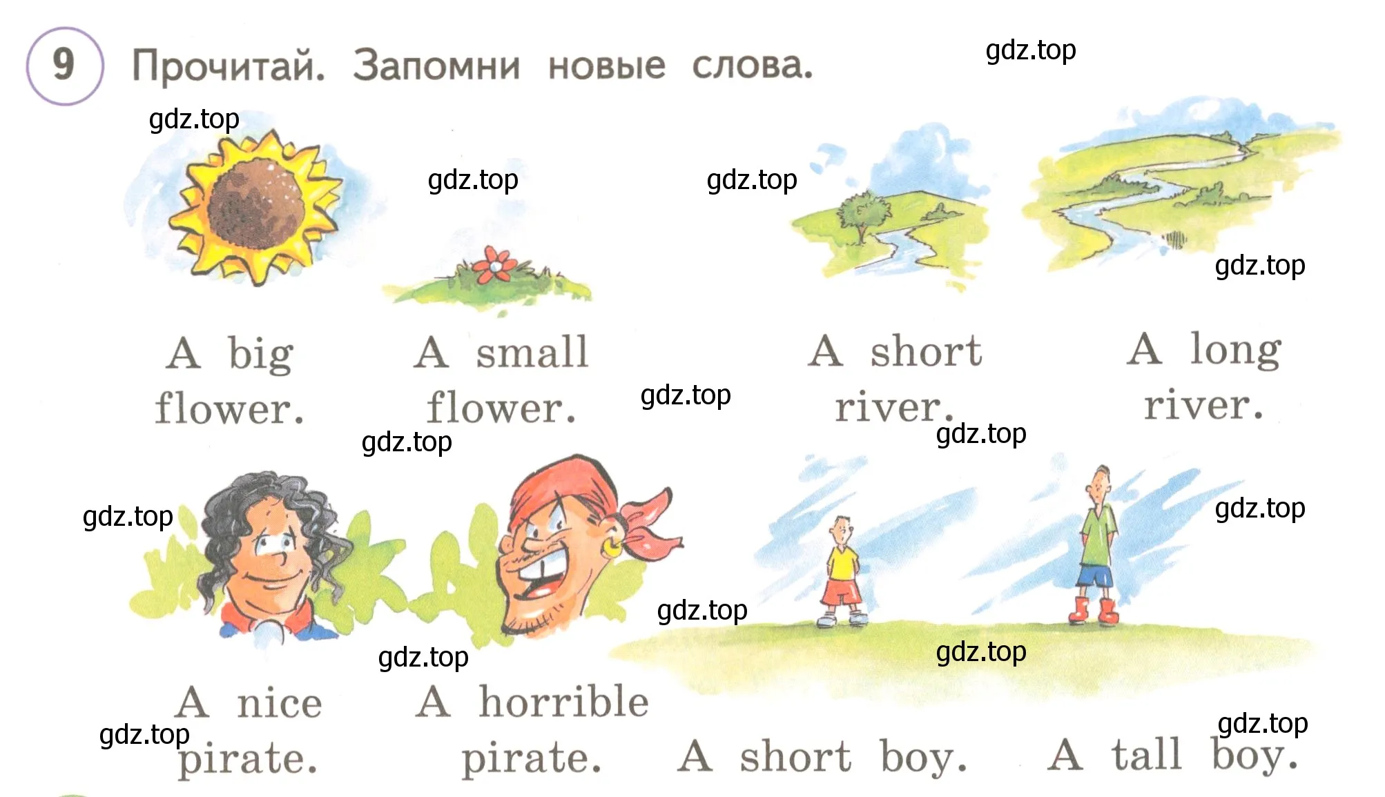 Условие номер 9 (страница 39) гдз по английскому языку 3 класс Комарова, Ларионова, учебник