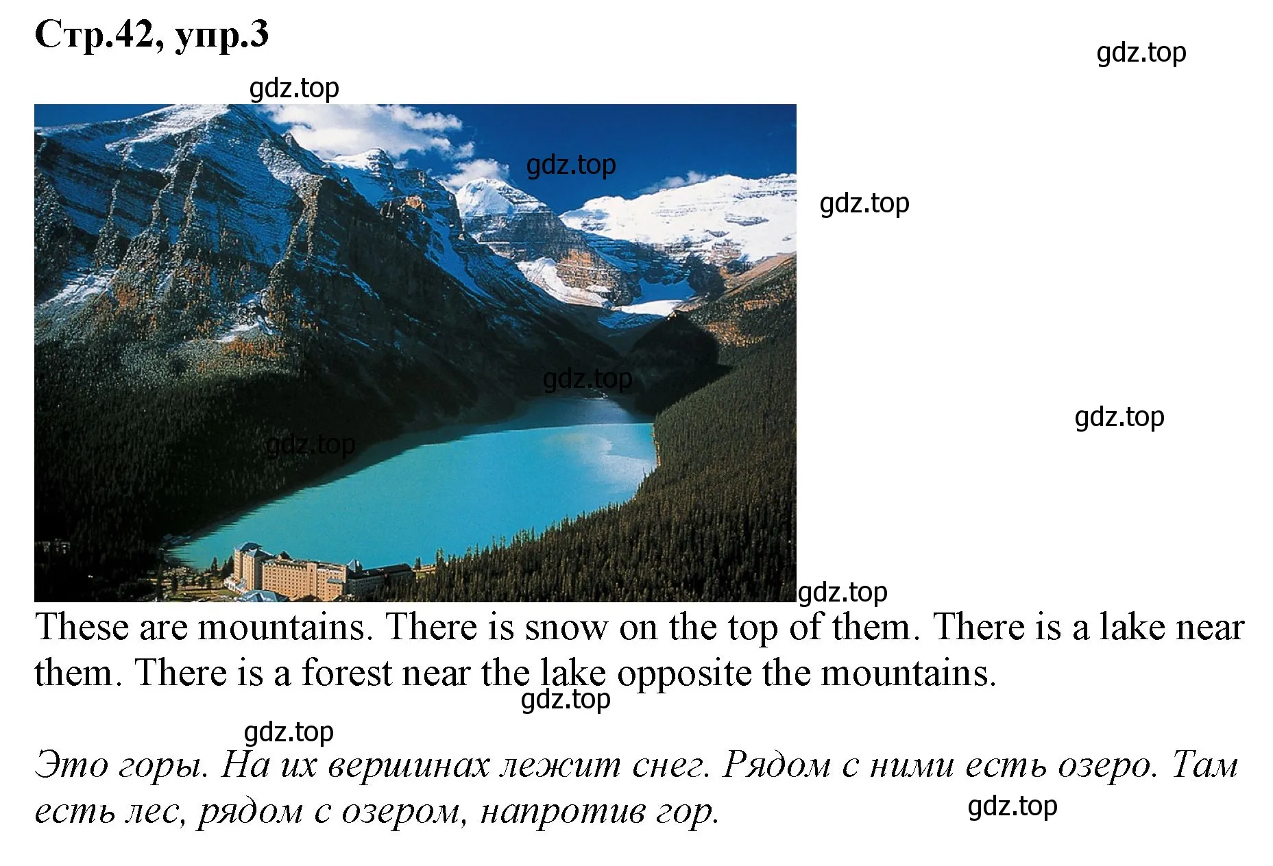 Решение номер 3 (страница 42) гдз по английскому языку 3 класс Комарова, Ларионова, учебник