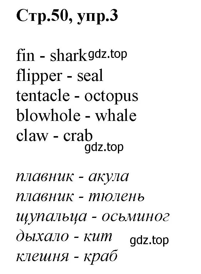 Решение номер 3 (страница 50) гдз по английскому языку 3 класс Комарова, Ларионова, учебник