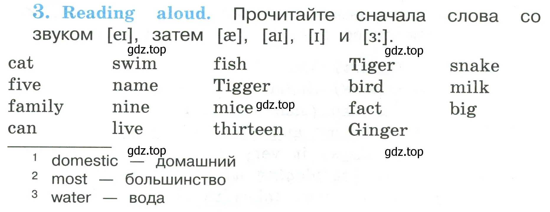 Условие номер 3 (страница 25) гдз по английскому языку 3 класс Кузовлев, Лапа, рабочая тетрадь