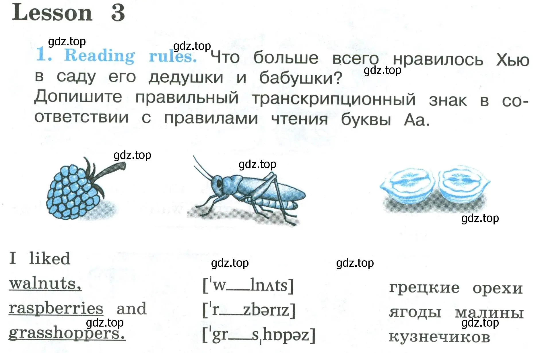 Условие номер 1 (страница 80) гдз по английскому языку 3 класс Кузовлев, Лапа, рабочая тетрадь