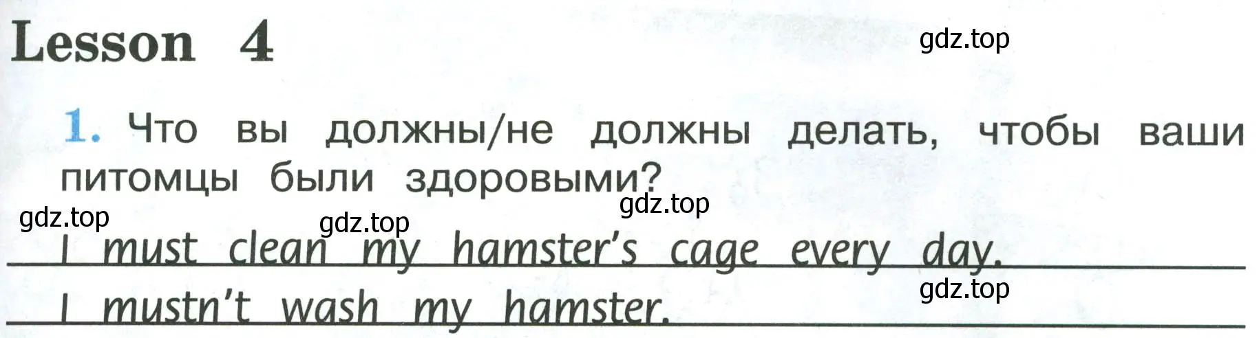 Условие номер 1 (страница 81) гдз по английскому языку 3 класс Кузовлев, Лапа, рабочая тетрадь