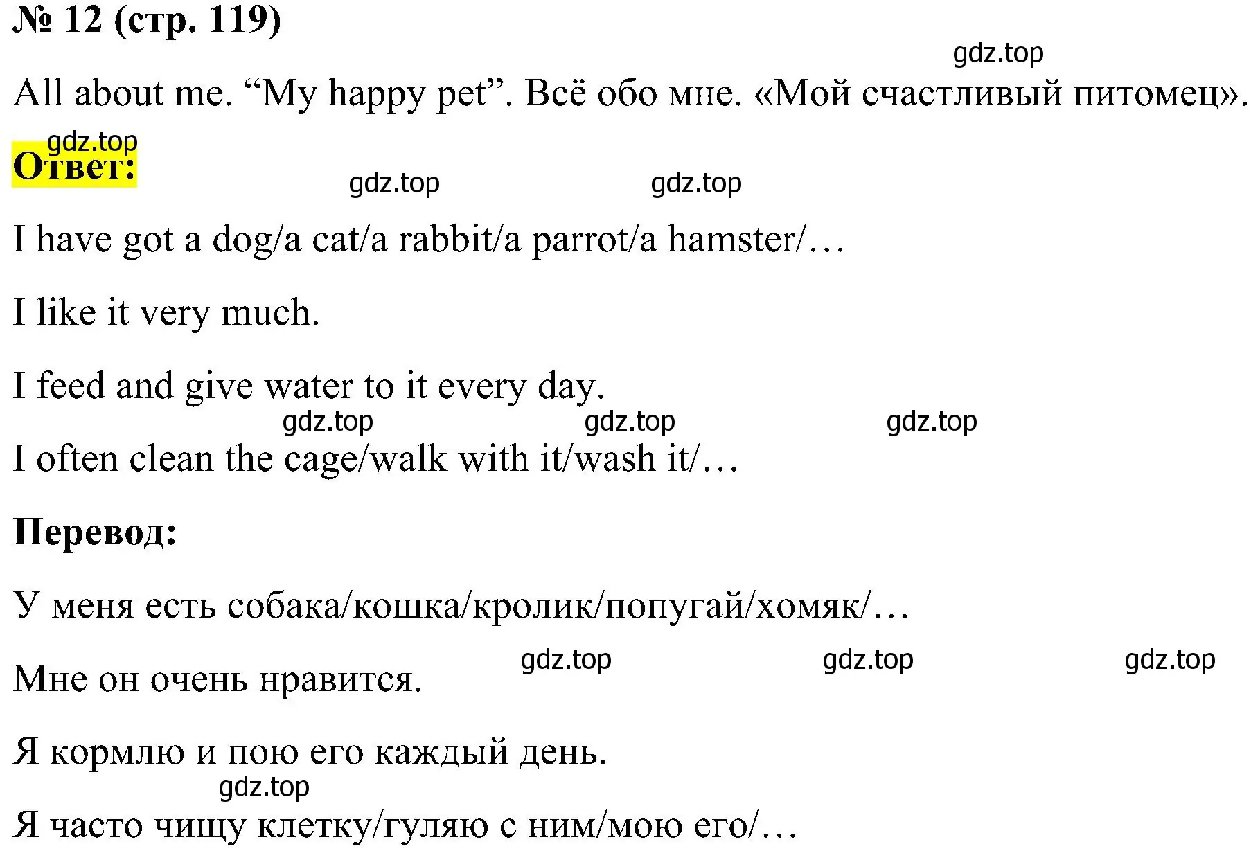 Решение номер 12 (страница 119) гдз по английскому языку 3 класс Кузовлев, Лапа, рабочая тетрадь