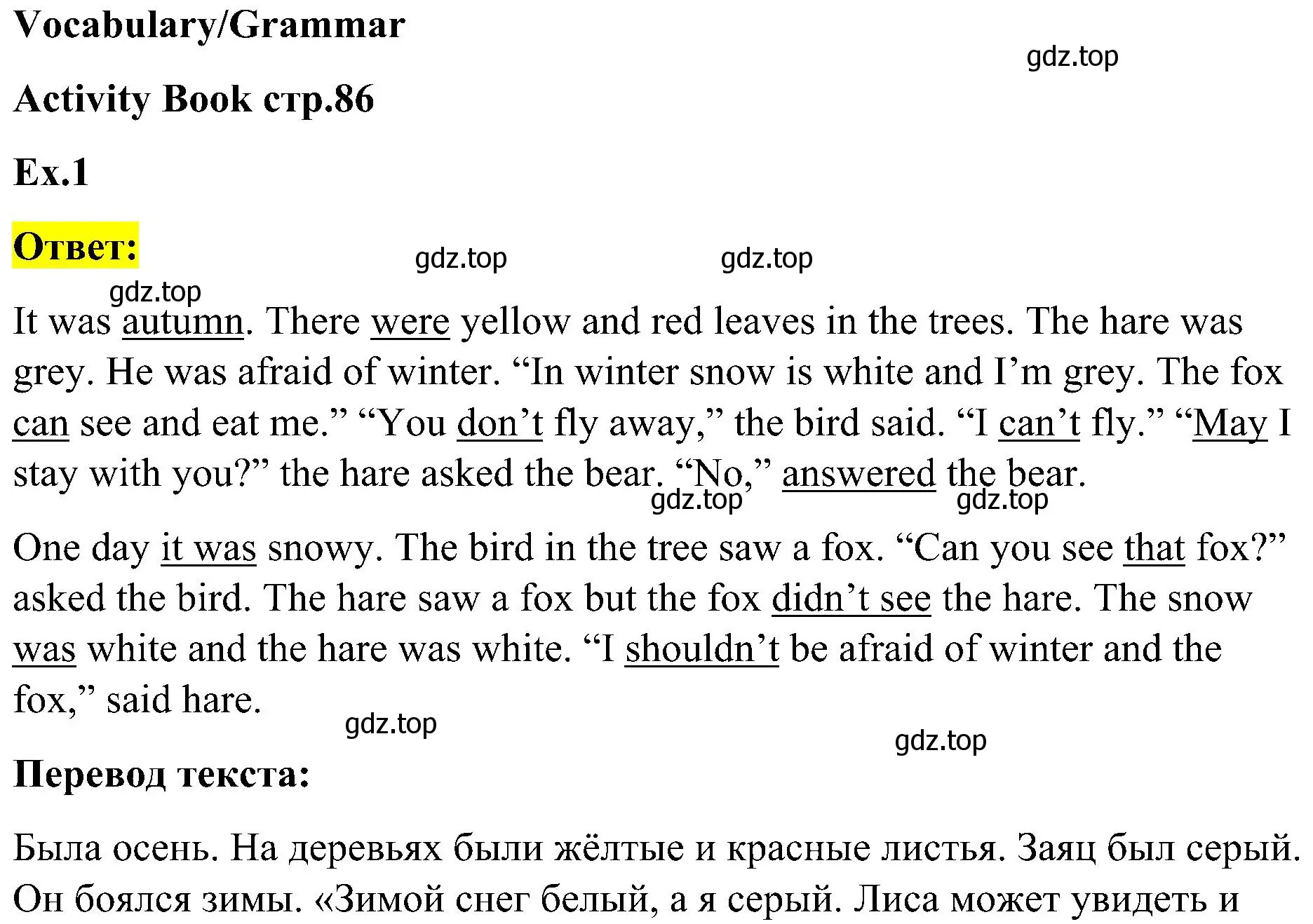 Решение  Vocabulary/Grammar (страница 47) гдз по английскому языку 3 класс Кузовлев, Лапа, учебник 2 часть