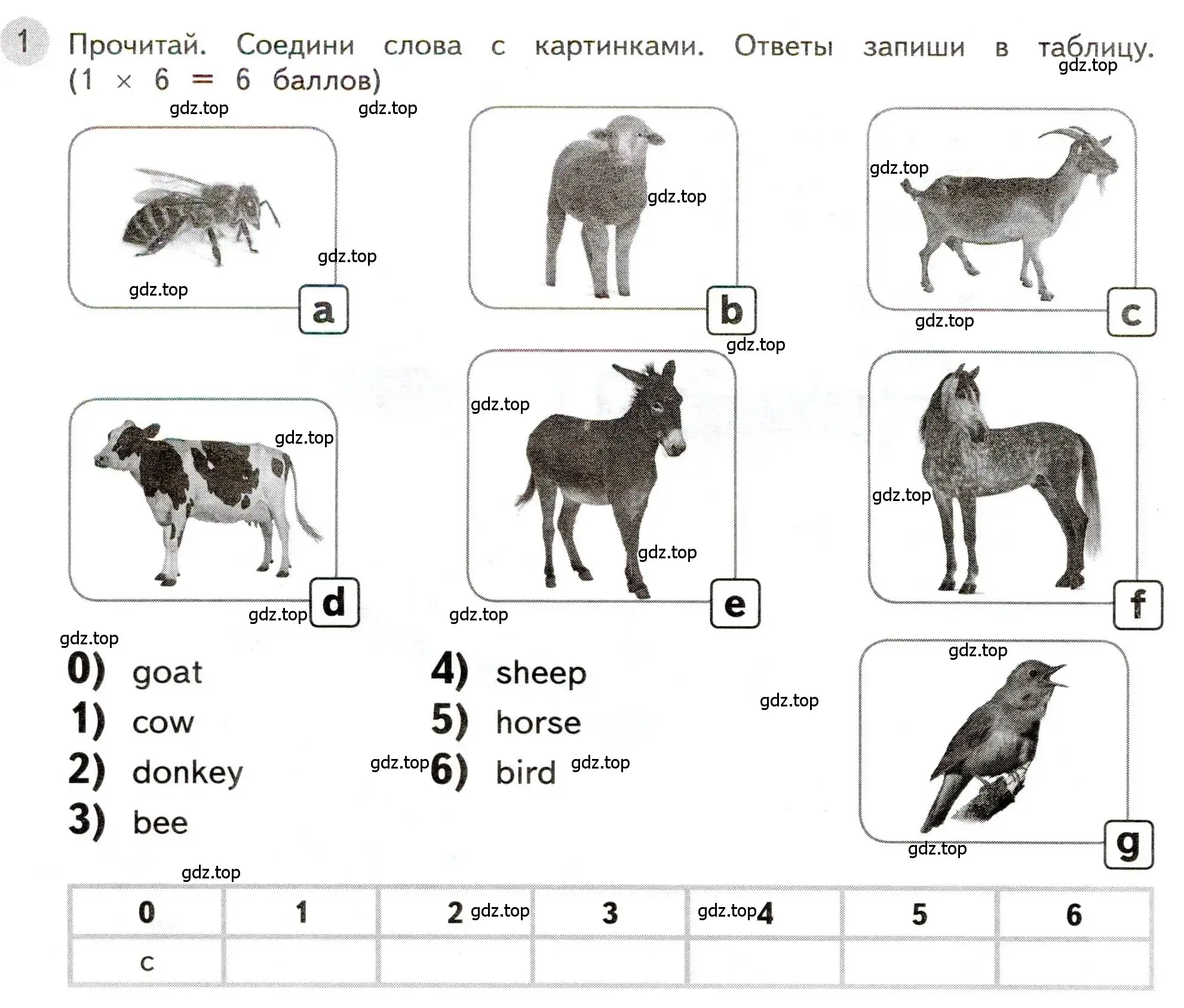 Условие номер 1 (страница 20) гдз по английскому языку 3 класс Покидова, контрольные задания