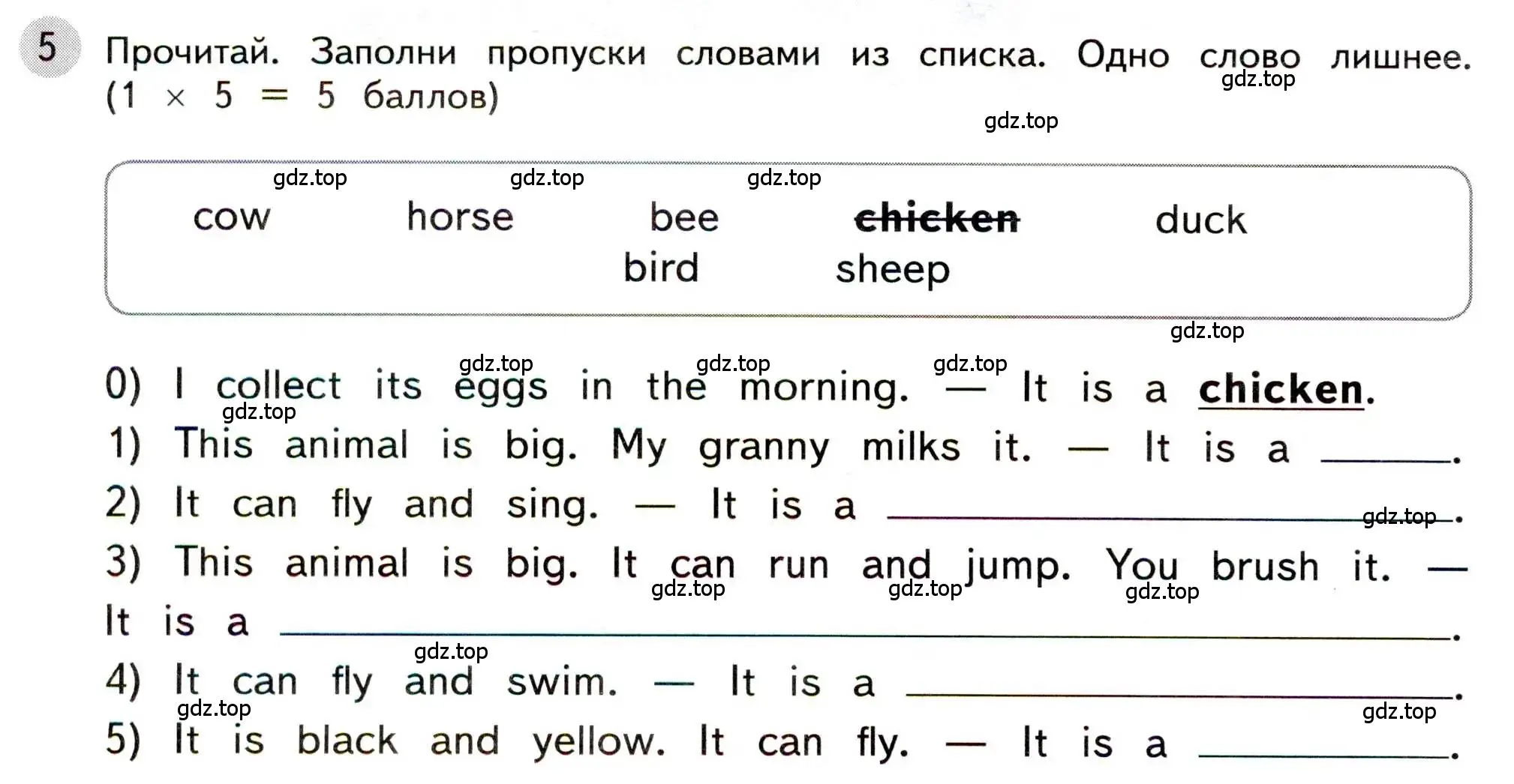 Условие номер 5 (страница 24) гдз по английскому языку 3 класс Покидова, контрольные задания