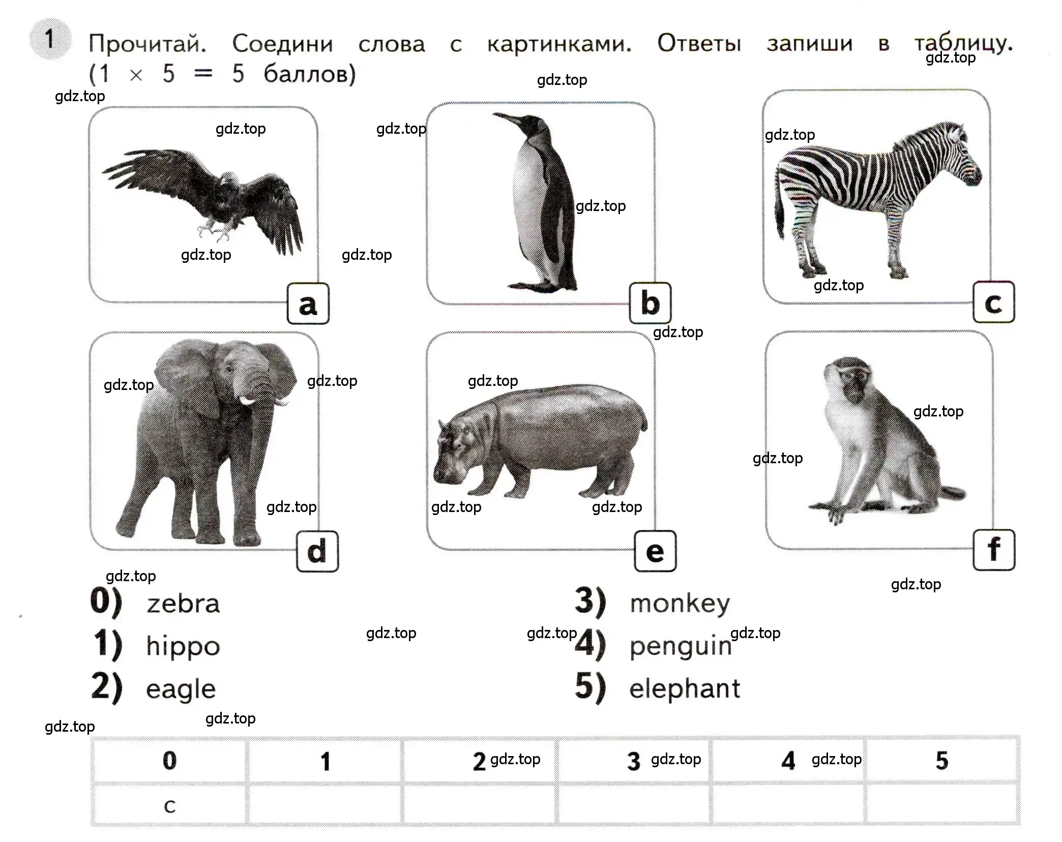 Условие номер 1 (страница 33) гдз по английскому языку 3 класс Покидова, контрольные задания