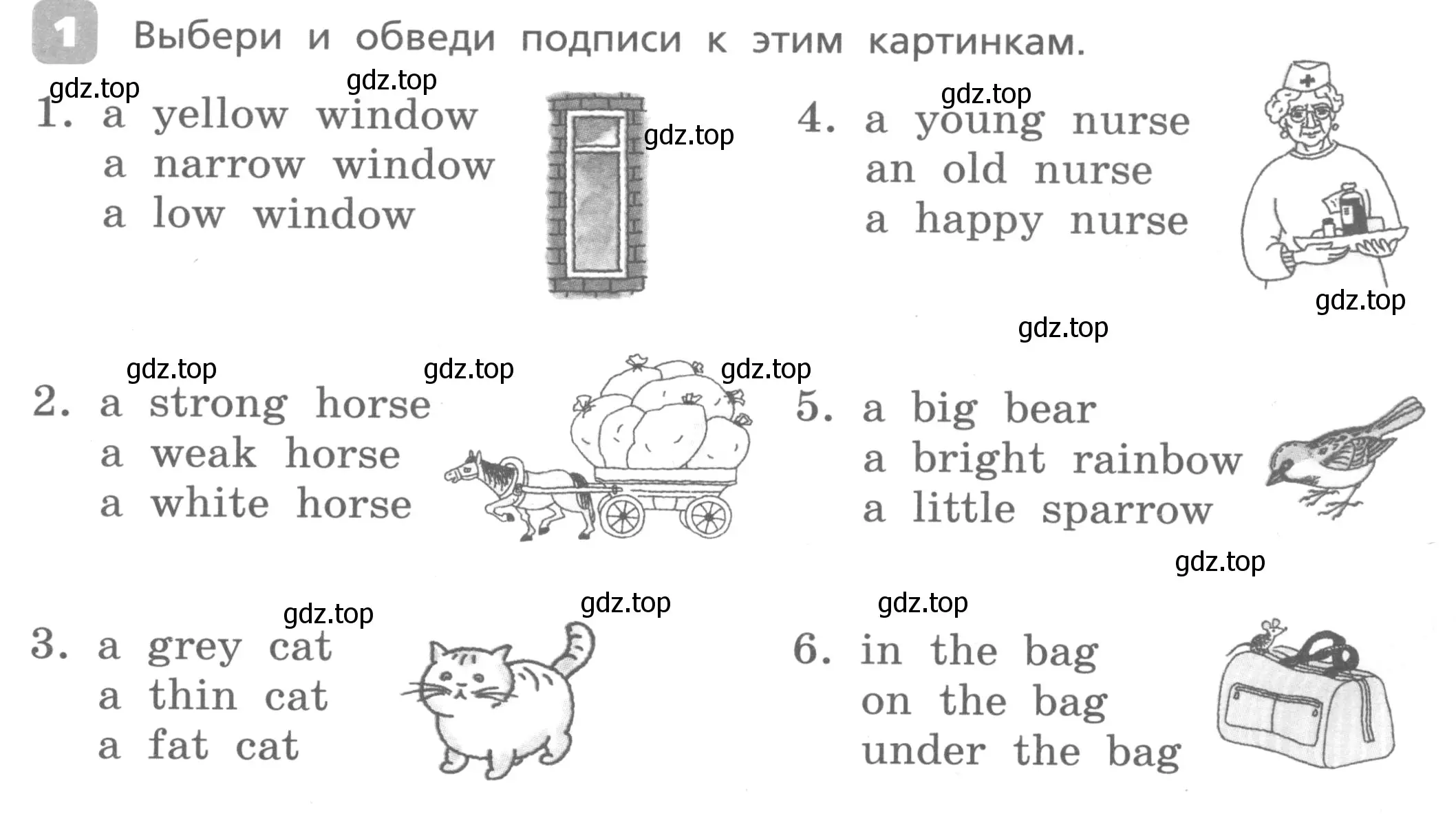 Условие номер 1 (страница 17) гдз по английскому языку 3 класс Афанасьева, Михеева, контрольные работы