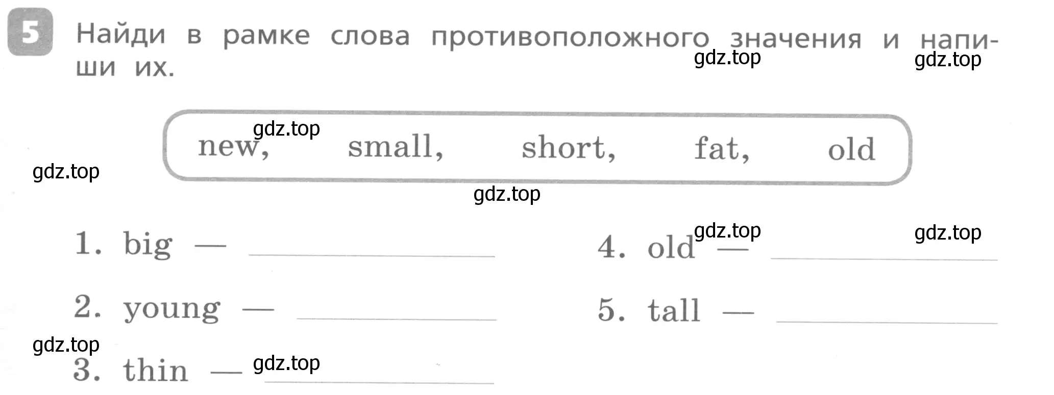 Условие номер 5 (страница 39) гдз по английскому языку 3 класс Афанасьева, Михеева, контрольные работы