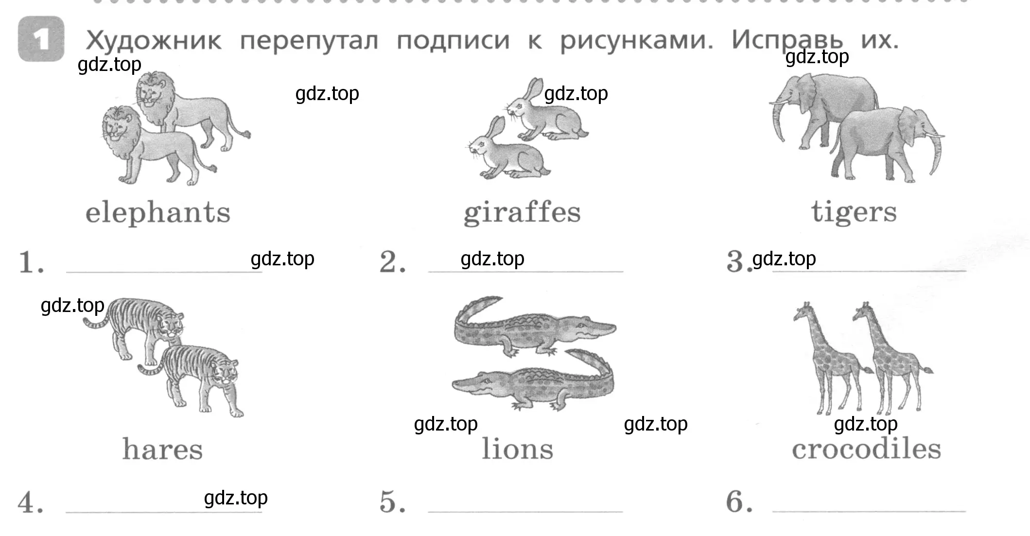 Условие номер 1 (страница 63) гдз по английскому языку 3 класс Афанасьева, Михеева, контрольные работы