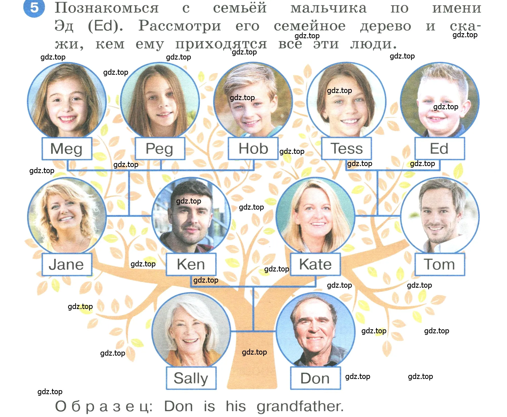 Условие номер 5 (страница 12) гдз по английскому языку 3 класс Афанасьева, Баранова, учебник 1 часть