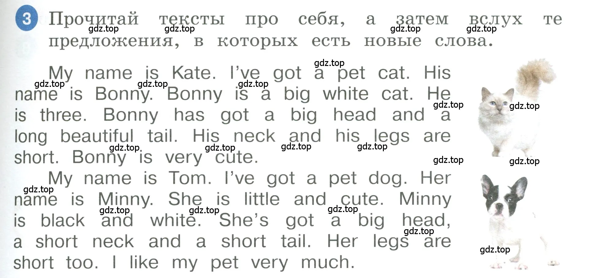 Условие номер 3 (страница 19) гдз по английскому языку 3 класс Афанасьева, Баранова, учебник 1 часть