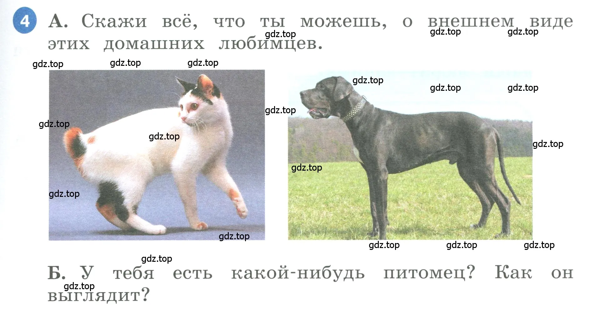 Условие номер 4 (страница 19) гдз по английскому языку 3 класс Афанасьева, Баранова, учебник 1 часть