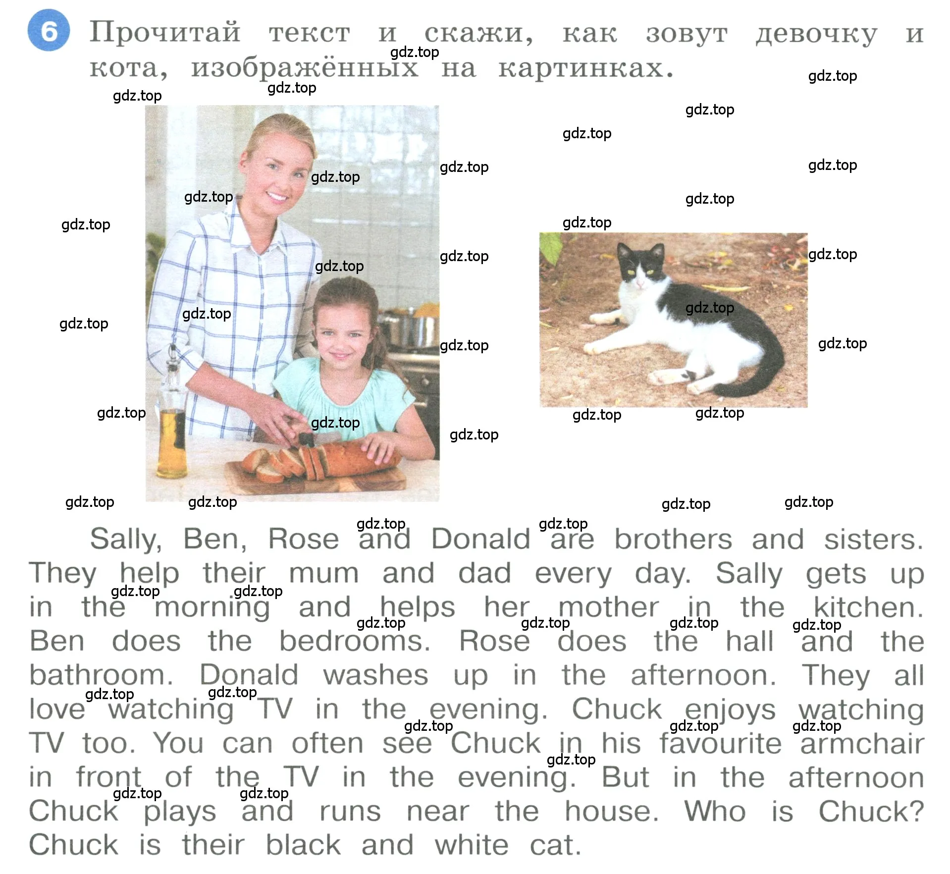 Условие номер 6 (страница 56) гдз по английскому языку 3 класс Афанасьева, Баранова, учебник 1 часть