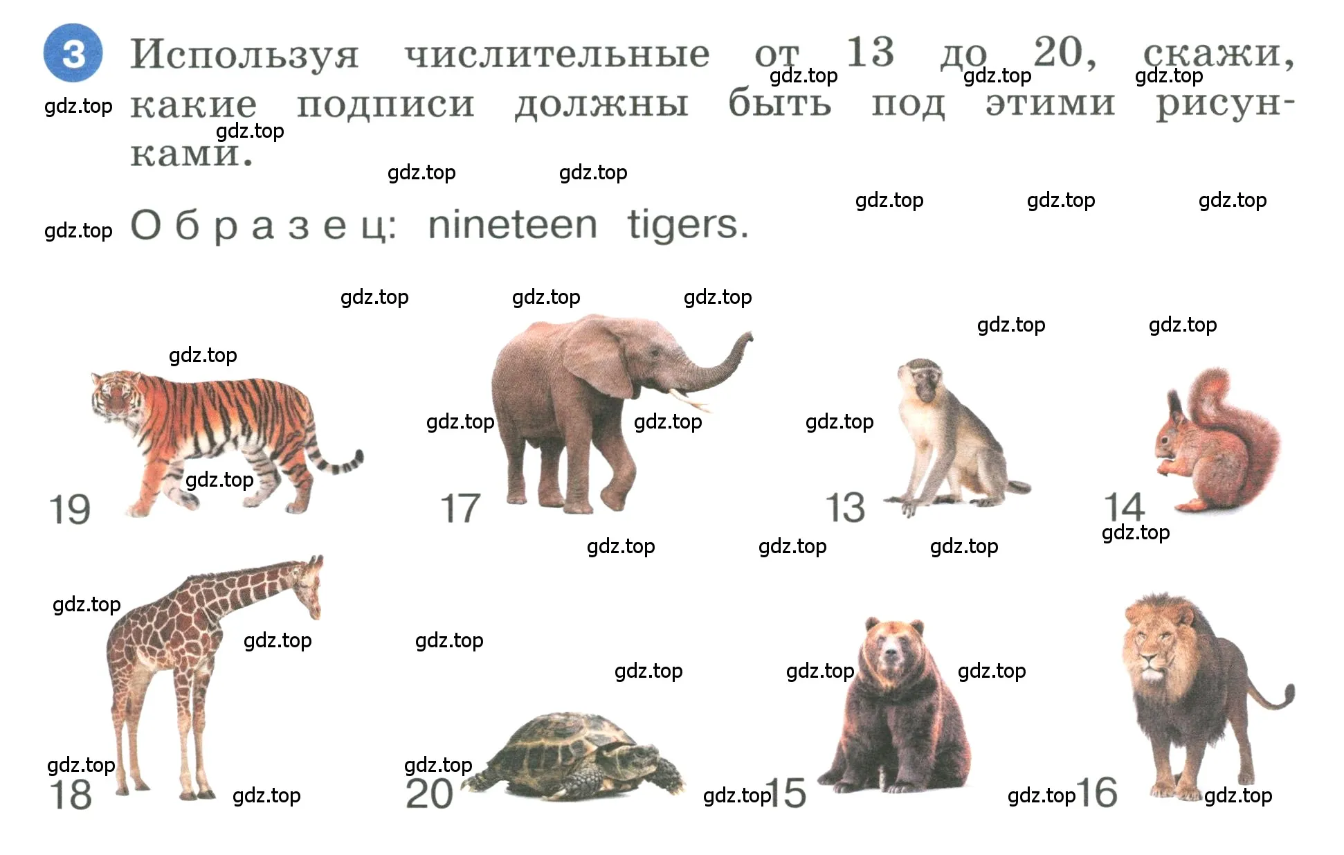 Условие номер 3 (страница 8) гдз по английскому языку 3 класс Афанасьева, Баранова, учебник 2 часть