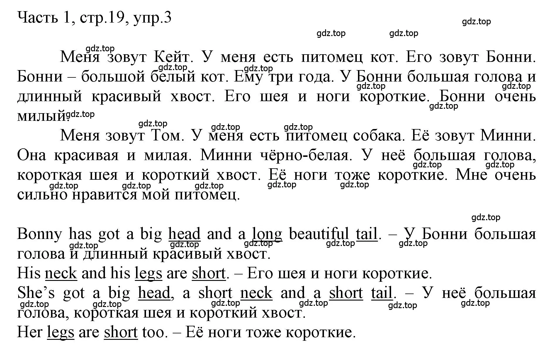 Решение номер 3 (страница 19) гдз по английскому языку 3 класс Афанасьева, Баранова, учебник 1 часть