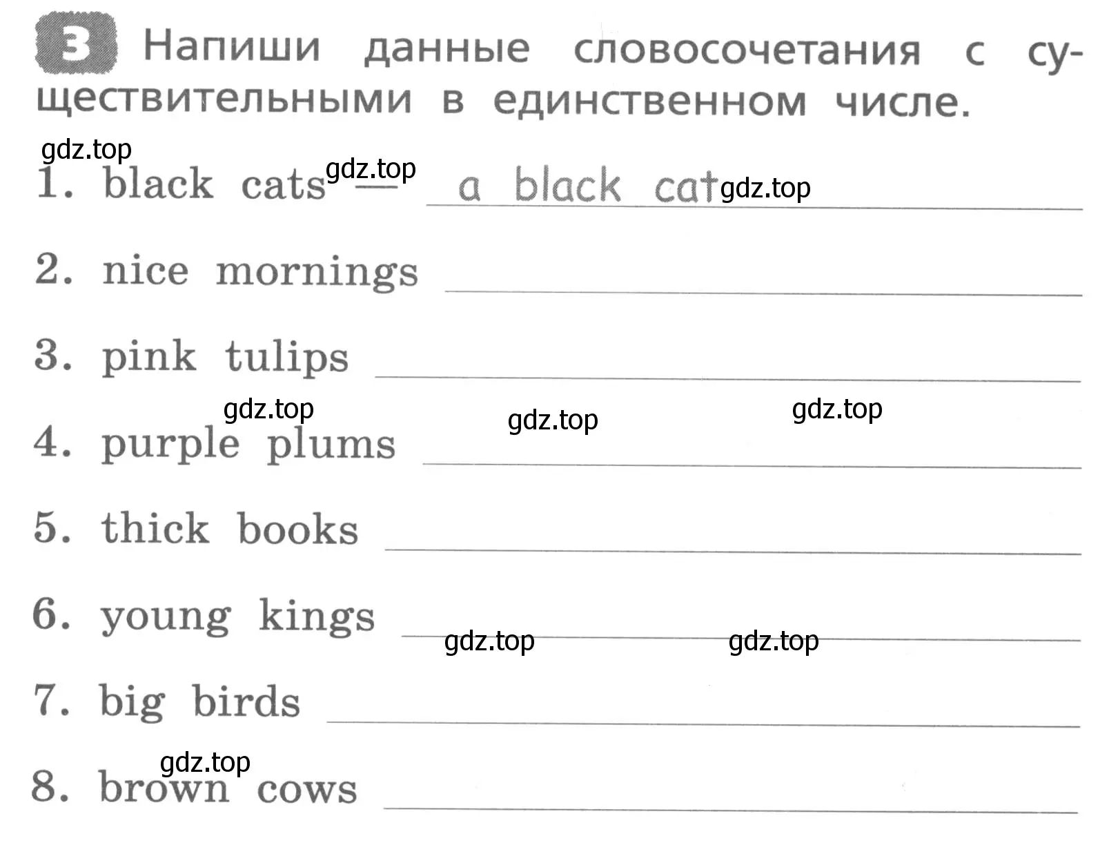 Условие номер 3 (страница 23) гдз по английскому языку 3 класс Афанасьева, Михеева, лексико-грамматический практикум