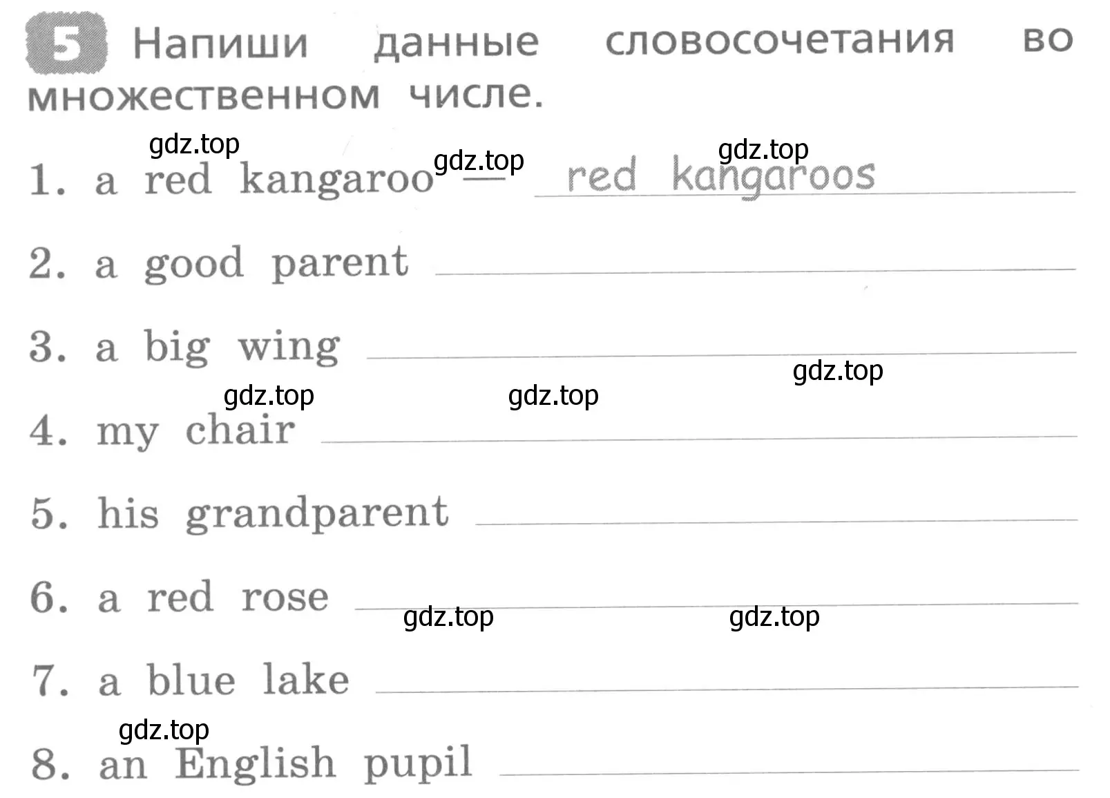 Условие номер 5 (страница 24) гдз по английскому языку 3 класс Афанасьева, Михеева, лексико-грамматический практикум