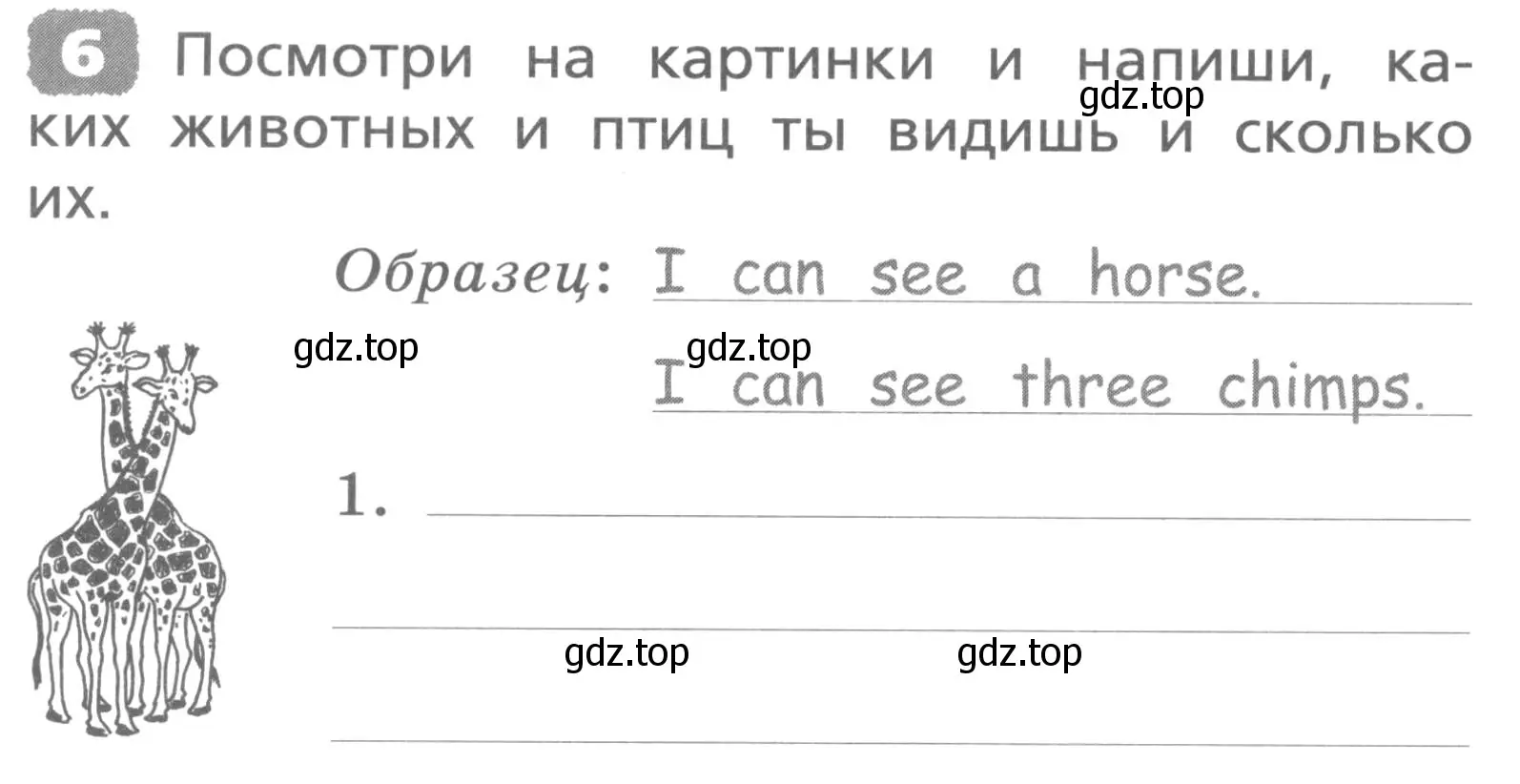 Условие номер 6 (страница 116) гдз по английскому языку 3 класс Афанасьева, Михеева, лексико-грамматический практикум