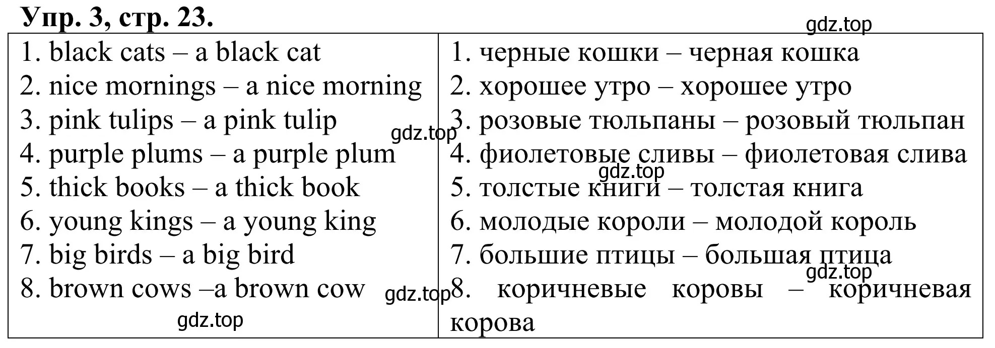 Решение номер 3 (страница 23) гдз по английскому языку 3 класс Афанасьева, Михеева, лексико-грамматический практикум