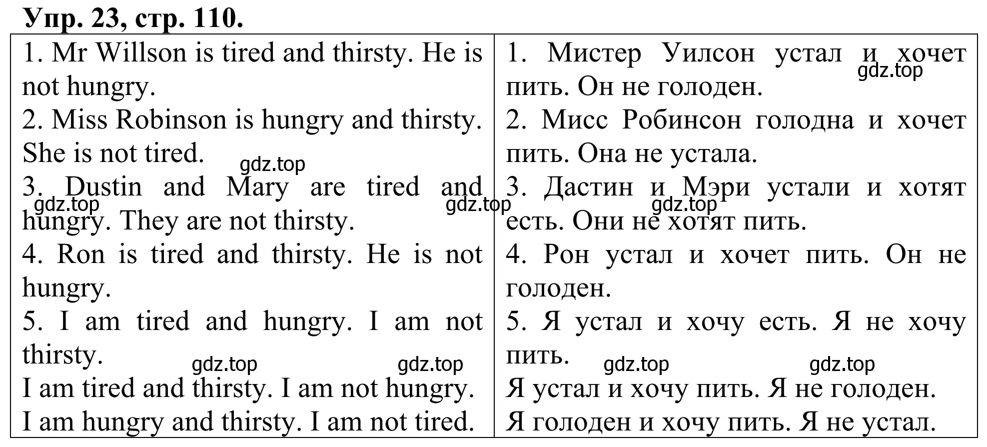 Решение номер 23 (страница 110) гдз по английскому языку 3 класс Афанасьева, Михеева, лексико-грамматический практикум