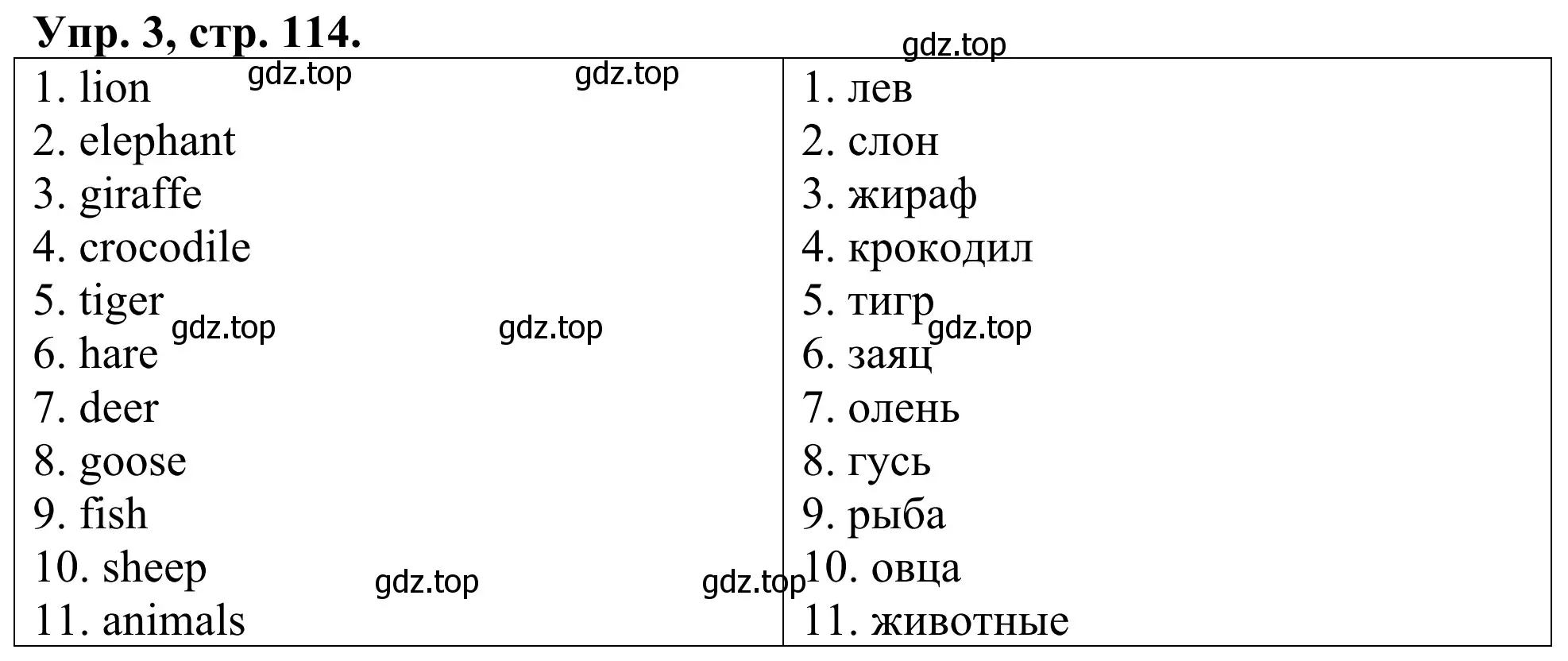 Решение номер 3 (страница 114) гдз по английскому языку 3 класс Афанасьева, Михеева, лексико-грамматический практикум