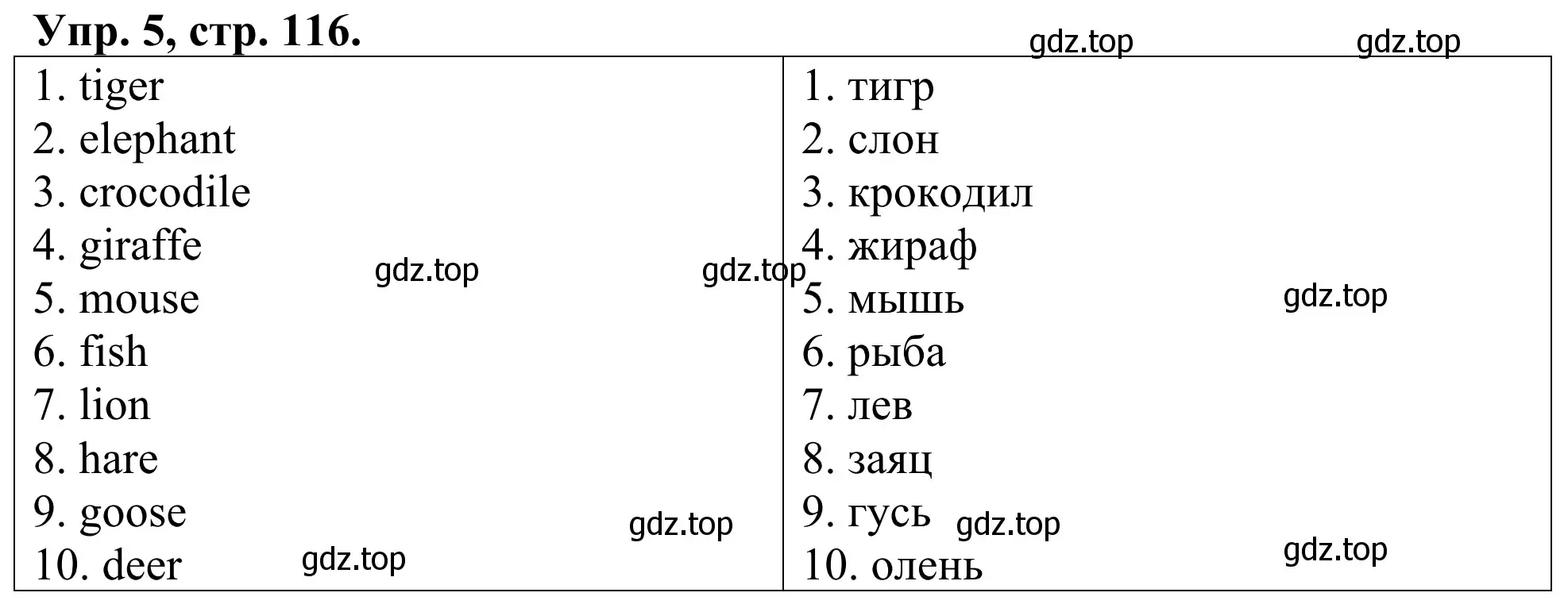 Решение номер 5 (страница 116) гдз по английскому языку 3 класс Афанасьева, Михеева, лексико-грамматический практикум