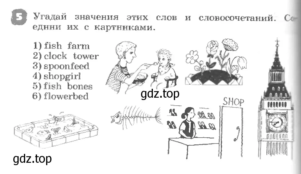 Условие номер 5 (страница 24) гдз по английскому языку 3 класс Афанасьева, Михеева, рабочая тетрадь