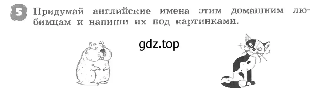 Условие номер 5 (страница 25) гдз по английскому языку 3 класс Афанасьева, Михеева, рабочая тетрадь