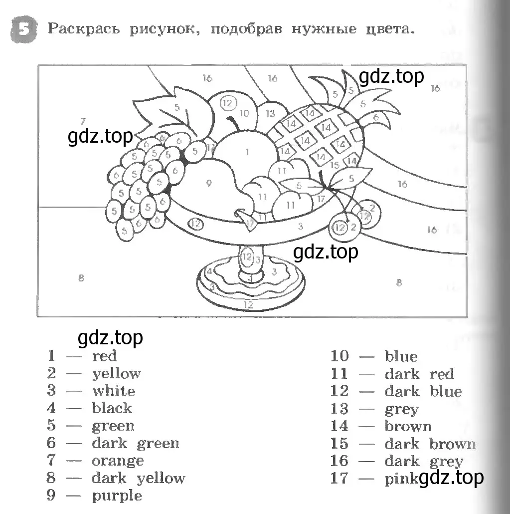 Условие номер 5 (страница 40) гдз по английскому языку 3 класс Афанасьева, Михеева, рабочая тетрадь