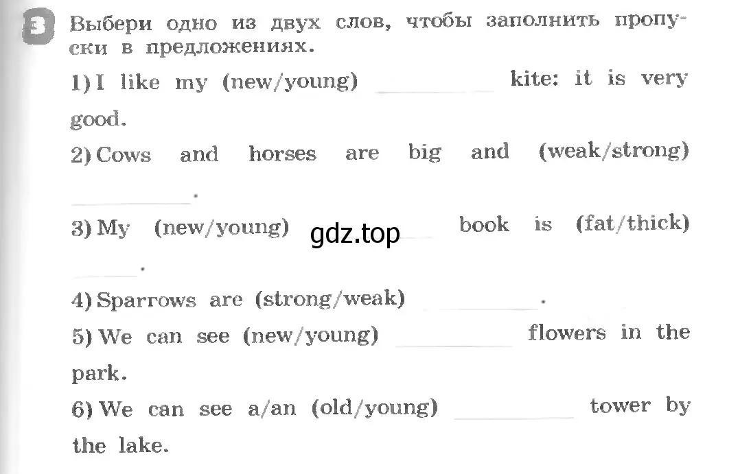 Условие номер 3 (страница 45) гдз по английскому языку 3 класс Афанасьева, Михеева, рабочая тетрадь