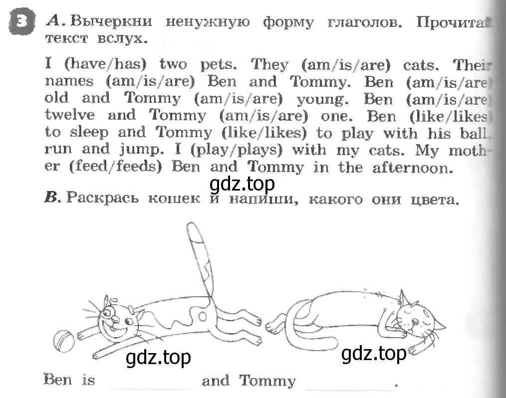 Условие номер 3 (страница 52) гдз по английскому языку 3 класс Афанасьева, Михеева, рабочая тетрадь