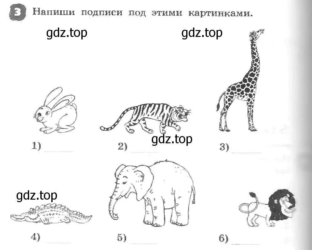 Условие номер 3 (страница 104) гдз по английскому языку 3 класс Афанасьева, Михеева, рабочая тетрадь