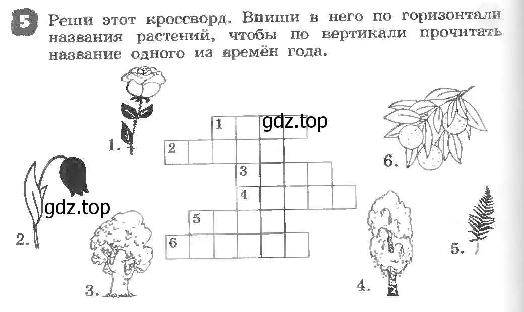 Условие номер 5 (страница 124) гдз по английскому языку 3 класс Афанасьева, Михеева, рабочая тетрадь