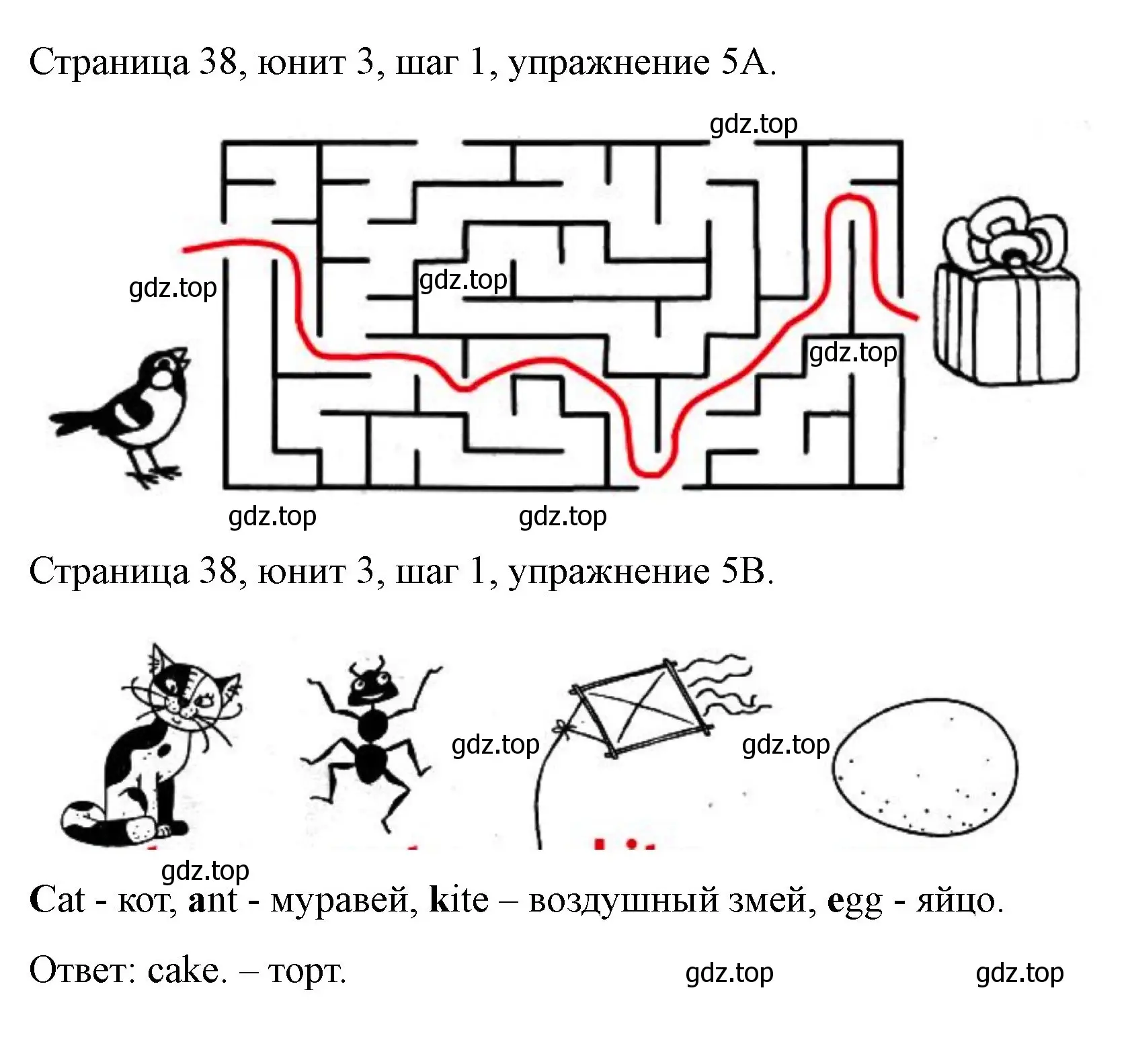 Решение номер 5 (страница 38) гдз по английскому языку 3 класс Афанасьева, Михеева, рабочая тетрадь