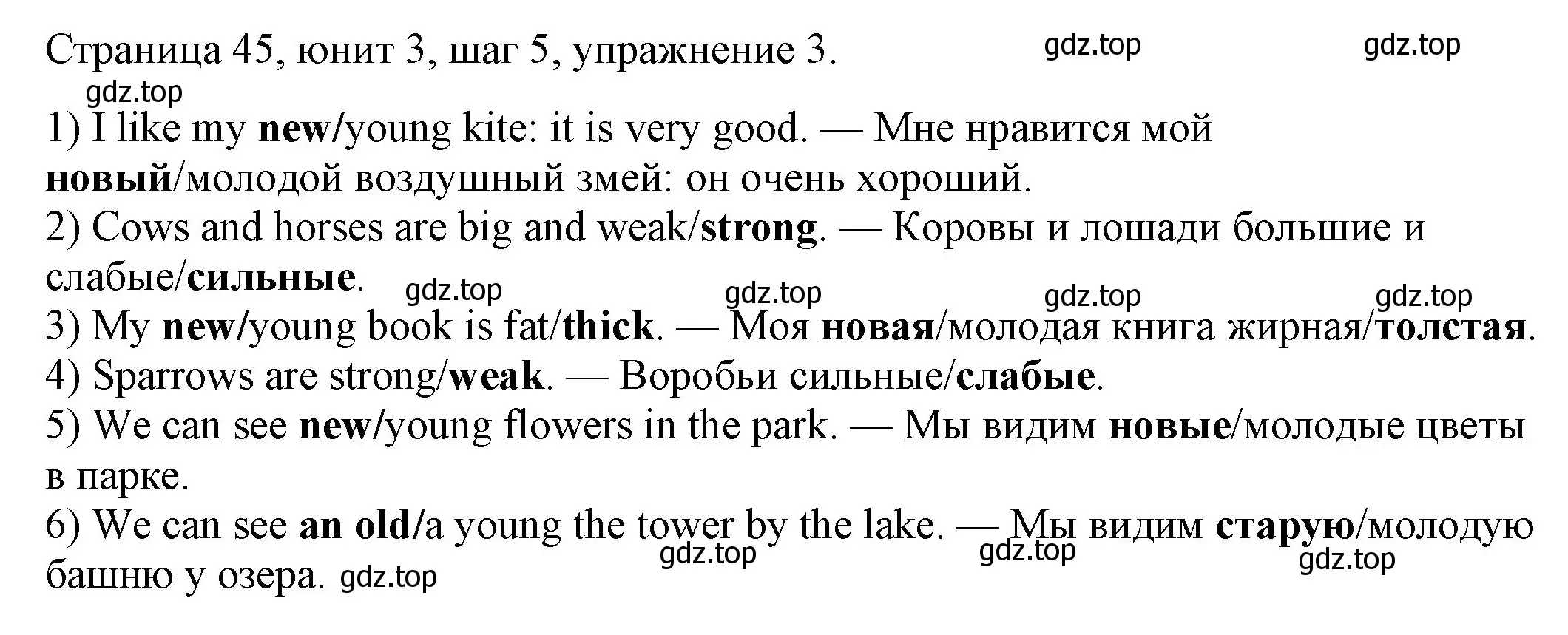 Решение номер 3 (страница 45) гдз по английскому языку 3 класс Афанасьева, Михеева, рабочая тетрадь