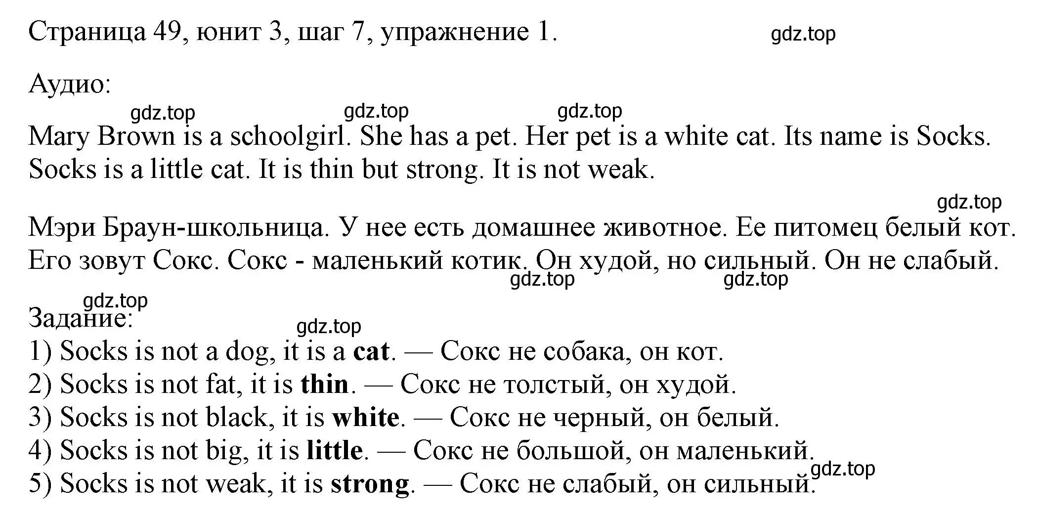 Решение номер 1 (страница 49) гдз по английскому языку 3 класс Афанасьева, Михеева, рабочая тетрадь