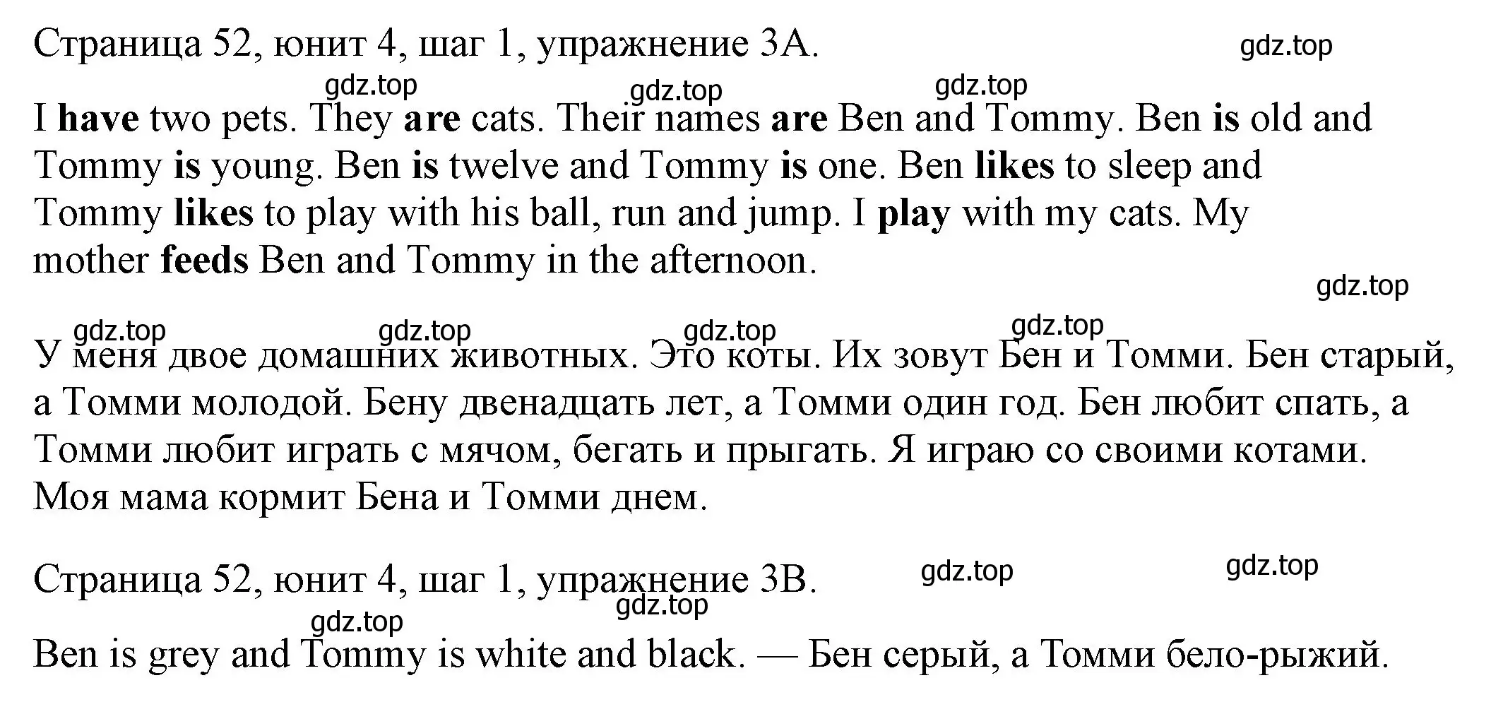 Решение номер 3 (страница 52) гдз по английскому языку 3 класс Афанасьева, Михеева, рабочая тетрадь